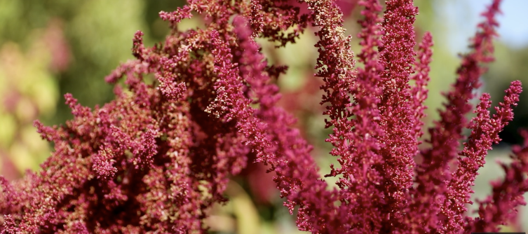 Fotoğraf: TRT Haber